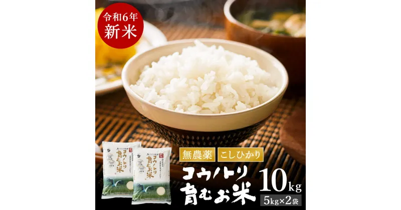 【ふるさと納税】【令和6年産】新米 無農薬 米 10kg コウノトリ育むお米 新米 但馬産 こしひかり 兵庫県産(5kg×2袋)（94-002）無農薬 お米 10キロ 精米 白米 コウノトリ米 コシヒカリ 農薬不使用 特別栽培米 新米 予約 コメ こめ ご飯 ライス