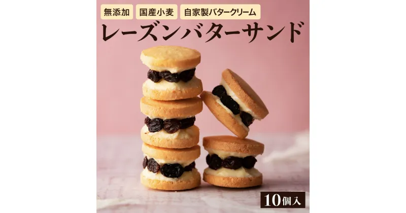 【ふるさと納税】レーズンバターサンド 10個入り キノシタ バターサンド ギフトボックス入り 濃厚 クッキー スイーツ 冷たい おしゃれ お取り寄せ お菓子 レーズンサンド プレゼント 手土産 洋菓子 焼き菓子 誕生日 内祝い プチギフト スイーツ ギフト