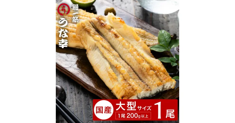 【ふるさと納税】特製タレ 山椒付き 大型1尾 鰻一筋「うな幸」のふわとろ白焼き(“国産”大サイズ1本入り) / うなぎ ウナギ 鰻 白焼き 1尾 タレ セット 真空パック レンジ