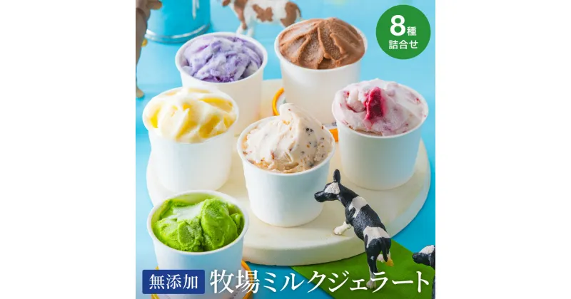 【ふるさと納税】牛飼いのジェラートセット 8種詰め合わせ / 無添加 スイーツ ジェラート シャーベット アイスクリーム 卵 小麦粉不使用 手作り プレセント お土産 贈り物 ギフト お取り寄せ 【狩野牧場】