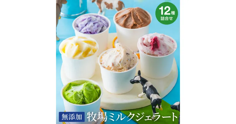 【ふるさと納税】牛飼いのジェラートセット 12種詰め合わせ / 無添加 スイーツ ジェラート シャーベット アイスクリーム 卵 小麦粉不使用 手作り プレセント お土産 贈り物 ギフト お取り寄せ 【狩野牧場】