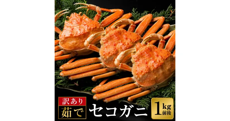 【ふるさと納税】釜茹でした後、すぐに冷凍！味噌（外子・内子）が美味い釜茹でセコガニ 1kg前後 6～8杯 / セコガニ 香箱ガニ 釜茹で カニ ボイル 蟹 松葉がに 松葉蟹 松葉ガニ 訳あり カニ せいこ カニ味噌