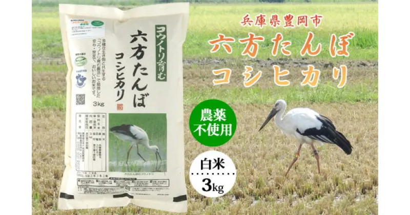 【ふるさと納税】六方たんぼ コシヒカリ 農薬不使用（白米：3kg）令和6年産 / 新米 米 お米 精米 白米 コメ こめ ご飯 コシヒカリ コウノトリ育む農法