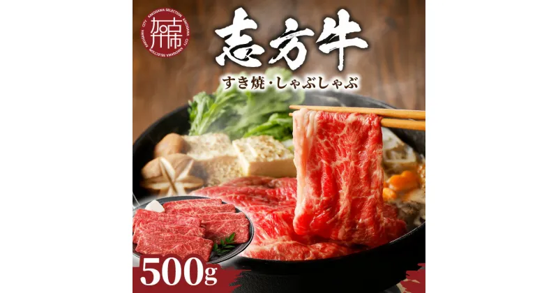 【ふるさと納税】★選べる配送月★志方牛しゃぶしゃぶ・すき焼（500g）《 牛肉 和牛 おすすめ 切り落とし肉 セット すき焼き 冷凍 国産 送料無料 肉 お取り寄せ 選べる 選べる配送月 選べる発送月 贈答用 ギフト プレゼント 贈り物 》