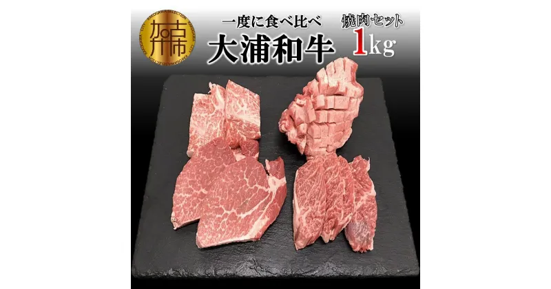 【ふるさと納税】★選べる配送月★大浦和牛焼肉セット(1kg)《 肉 牛肉 和牛 国産 焼肉 セット 1キロ ロース 赤身肉 タン ヘレ フィレ 4種 食べ比べ BBQ 選べる 選べる配送月 送料無料 楽天市場 》