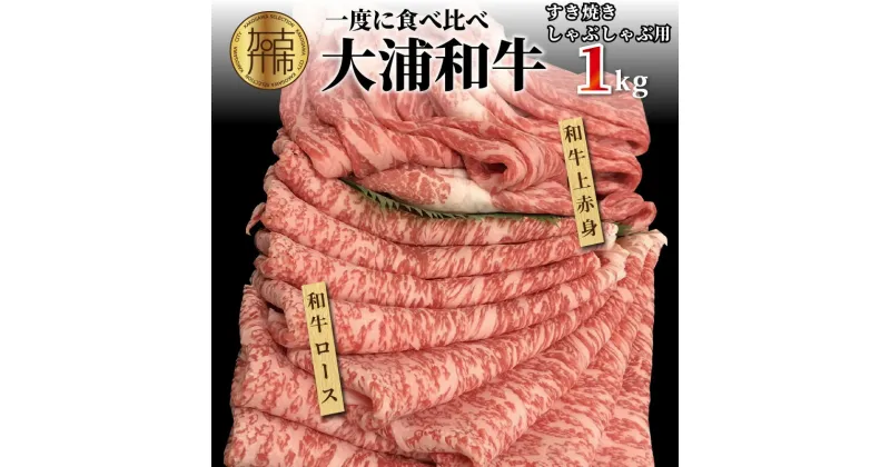 【ふるさと納税】★選べる配送月★大浦和牛すきやき・しゃぶセット（1kg）〈 牛肉 牛 和牛 国産 すき焼き しゃぶしゃぶ セット おすすめ ロース 赤身 美味しい 食べ比べ 選べる 選べる配送月 選べる発送月 〉