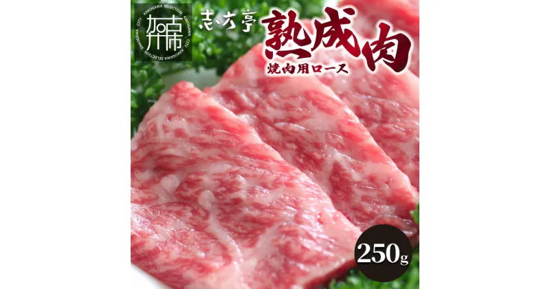 【ふるさと納税】 「熟成肉」焼肉(250g)〈焼肉 熟成肉 ロース 牛肉 ロース 250g 牛 国産 和牛 おすすめ こだわり セット バーベキュー ブレンド塩 旨味 加古川市〉