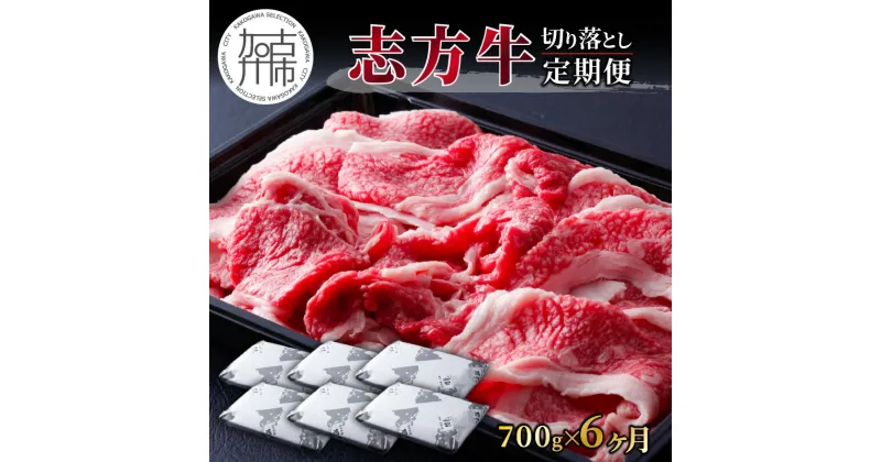 【ふるさと納税】志方牛切り落とし定期便(700g×6ヶ月)《 定期便 肉 国産 牛肉 牛 国産牛 切り落とし 小間切れ お手軽 おいしい お取り寄せ 志方牛 送料無料 》