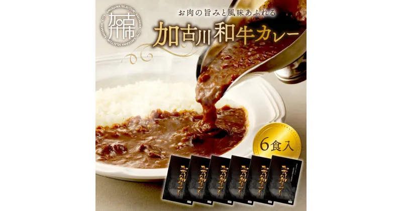 【ふるさと納税】加古川和牛カレー(6食入)《 おすすめ カレー 人気 和牛カレー カレーメシ レトルト おいしい お取り寄せ ギフト 一人暮らし 簡単調理 仕送り 時短 送料無料 》