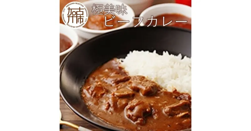 【ふるさと納税】極美味ビーフカレー 4個セット＜レギュラー2個・マイルド2個＞《 おすすめ カレー 人気 レトルト 牛肉 ビーフカレー セット 詰め合わせ お取り寄せ グルメ 送料無料 》