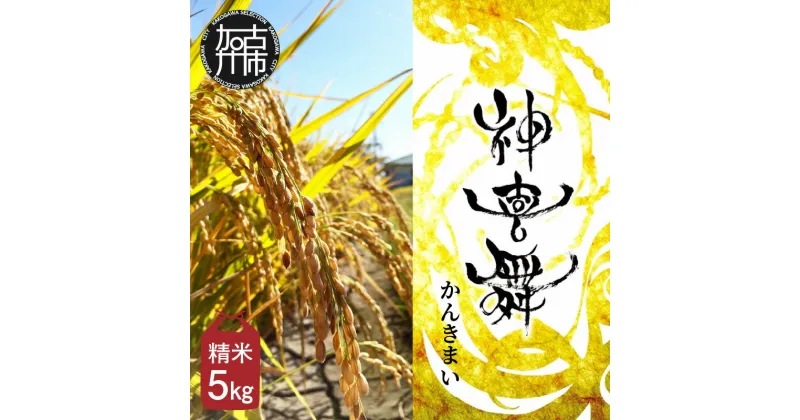 【ふるさと納税】お米【神喜舞】精米 5kg [令和6年産]《 神喜米 お米 精米 5キロ 米 おこめ 国産 送料無料 ヒノヒカリ 》