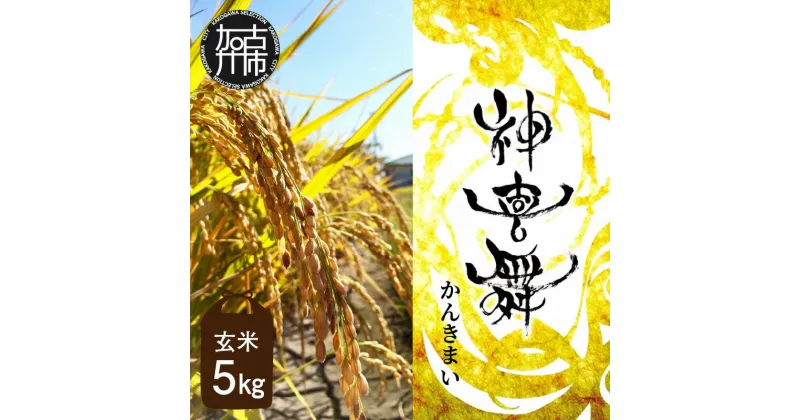 【ふるさと納税】お米 【神喜舞】 玄米5kg [令和6年産]《 お米 農薬不使用 玄米 5キロ 安心 安全 米 おこめ 国産 送料無料 ヒノヒカリ 》