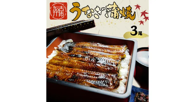 【ふるさと納税】鰻の蒲焼き3尾(6パック)たれ別・挽きたて粉山椒付《ふっくら 焼きたて うなぎ蒲焼き お茶漬け ひつまぶし》