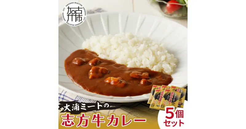 【ふるさと納税】【レビューキャンペーン】★選べる配送月★大浦ミート特製 志方牛カレー 5個セット《 おすすめ カレー 人気 美味しい レトルト 牛肉 ビーフカレー セット 詰め合わせ お取り寄せ グルメ 送料無料 選べる 選べる配送月 》