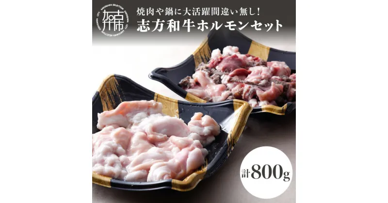 【ふるさと納税】志方和牛ホルモンセット(小腸400g・MIXホルモン400g)〈 牛肉 肉 ホルモン 冷凍 焼肉 国産 和牛 〉