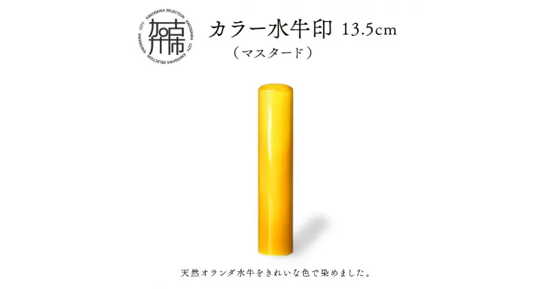 【ふるさと納税】カラー水牛印【天然オランダ水牛】(マスタード)13.5mm 《 雑貨 印鑑 水牛 もみ革 水牛印 ケース付き 革 》