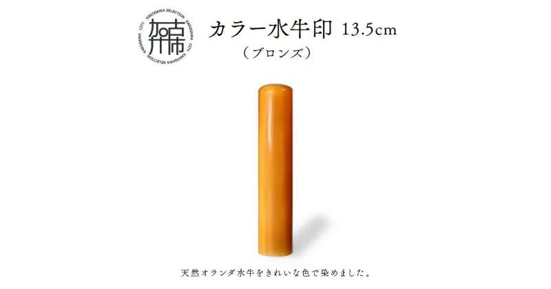 【ふるさと納税】カラー水牛印【天然オランダ水牛】(ブロンズ)13.5mm《 雑貨 印鑑 水牛 もみ革 水牛印 ケース付き 革 》