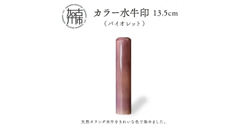 【ふるさと納税】カラー水牛印【天然オランダ水牛】(バイオレット)13.5mm《 雑貨 印鑑 水牛 もみ革 水牛印 ケース付き 革 》