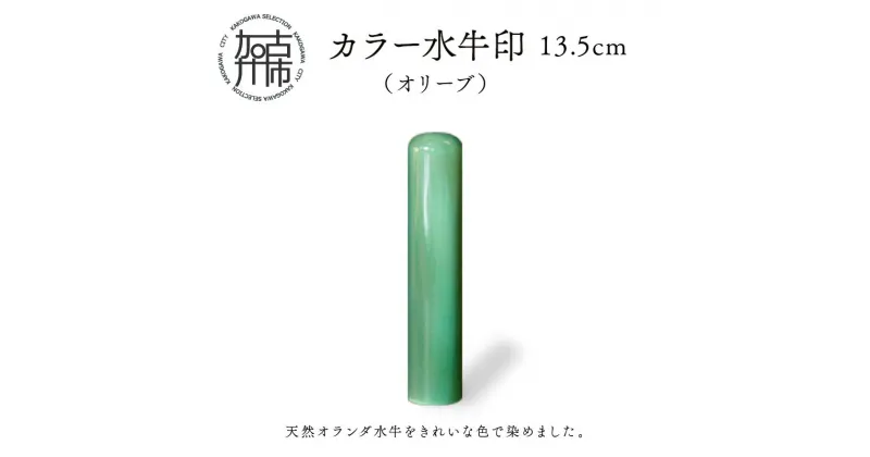 【ふるさと納税】カラー水牛印【天然オランダ水牛】(オリーブ)13.5mm《 雑貨 印鑑 水牛 もみ革 水牛印 ケース付き 革 》