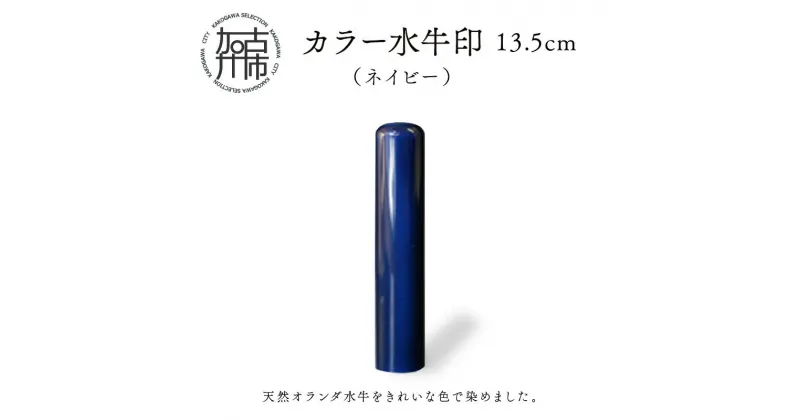 【ふるさと納税】カラー水牛印【天然オランダ水牛】(ネイビー)13.5mm《 雑貨 印鑑 水牛 もみ革 水牛印 ケース付き 革 》