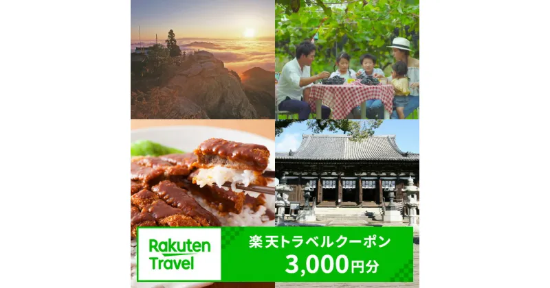 【ふるさと納税】兵庫県加古川市の対象施設で使える楽天トラベルクーポン 寄附額10,000円