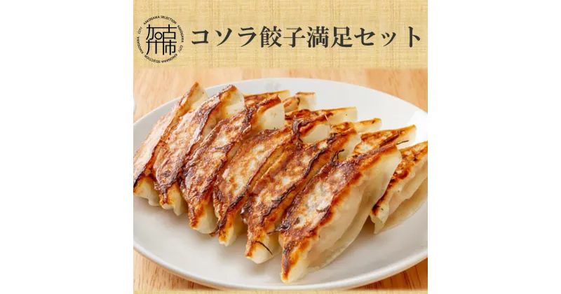 【ふるさと納税】コソラ餃子満足セット 《 送料無料 餃子 おうちごはん おかず 惣菜 美味しい ぎょうざ ギョーザ お取り寄せ 冷凍餃子 国産 》