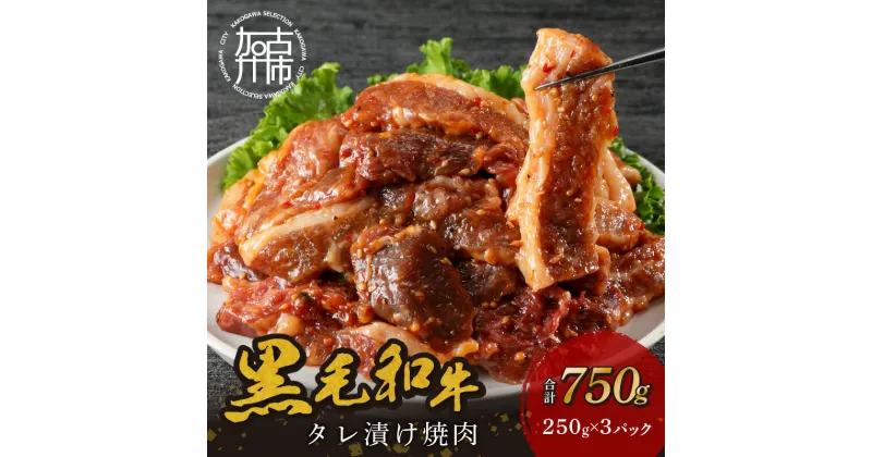 【ふるさと納税】ミートマイスター厳選！黒毛和牛タレ漬け焼肉（薄味☆）250g×3パック 《 肉 牛肉 和牛 黒毛和牛 タレ漬け 味付き肉 焼肉 》