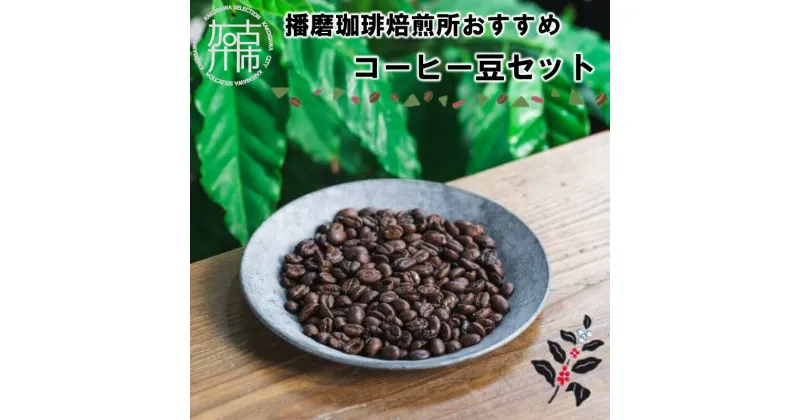 【ふるさと納税】播磨珈琲焙煎所おすすめコーヒー豆セット 《 コーヒー 珈琲 焙煎豆 挽き豆 オリジナルブレンド セット 詰め合わせ 》