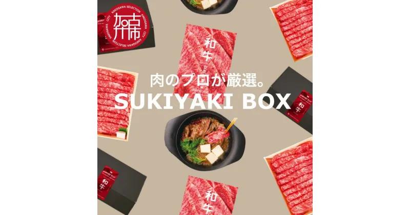 【ふるさと納税】SUKIYAKI BOX 肉のプロが選ぶ 特選和牛すき焼き《 肉 特選和牛 牛肉 すき焼き 霜降り ウデミスジ おすすめ 贈答用 ギフト プレゼント 贈り物 》