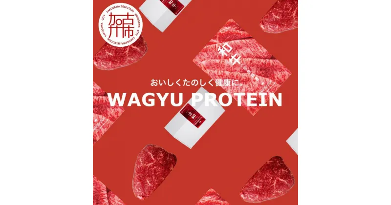 【ふるさと納税】WAGYU PROTEIN 定期便　4回分《 牛肉 お肉 肉 高タンパク 赤身肉 うちもも肉 ローストビーフ ステーキ おすすめ ギフト 贈答 プレゼント 定期便 》