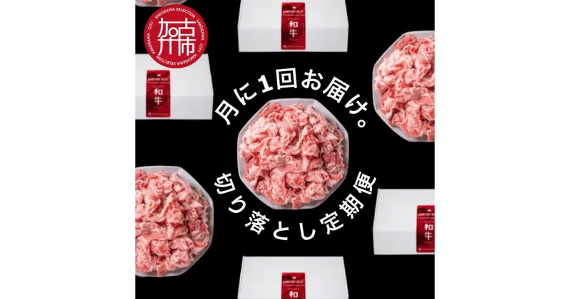 【ふるさと納税】全12回定期便 肉のまち加古川 プリンセス和牛 切り落とし(500g×12か月)《 定期便 肉 和牛 切り落とし 牛肉 肉じゃが 牛丼 プルコギ カレー 日常使い おいしい おすすめ 贈答 プレゼント 》