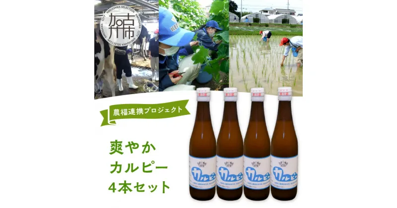 【ふるさと納税】「農(学)福連携プロジェクト」爽やか　カルピー4本セット《 飲料 乳酸菌飲料 冷蔵 セット 4本 》