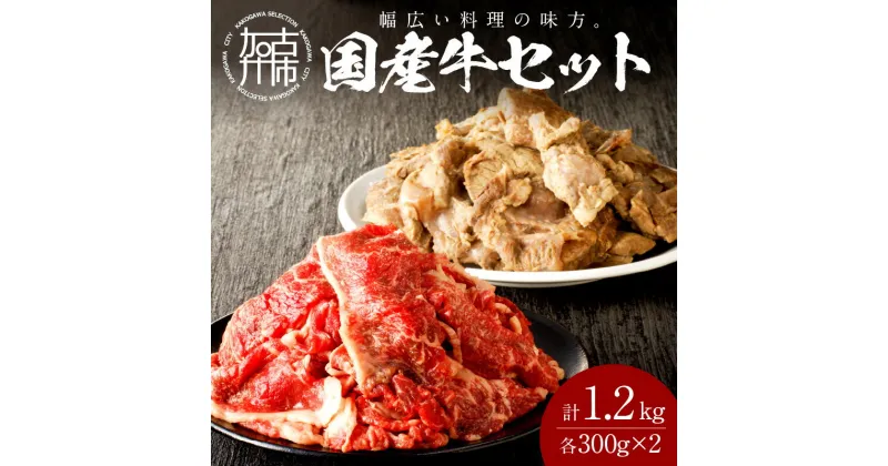 【ふるさと納税】【レビューキャンペーン】【国産牛】料理の味方セット(切り落とし・ボイルスジ肉)《 肉 牛肉 切り落とし肉 牛すじ 国産 セット 》