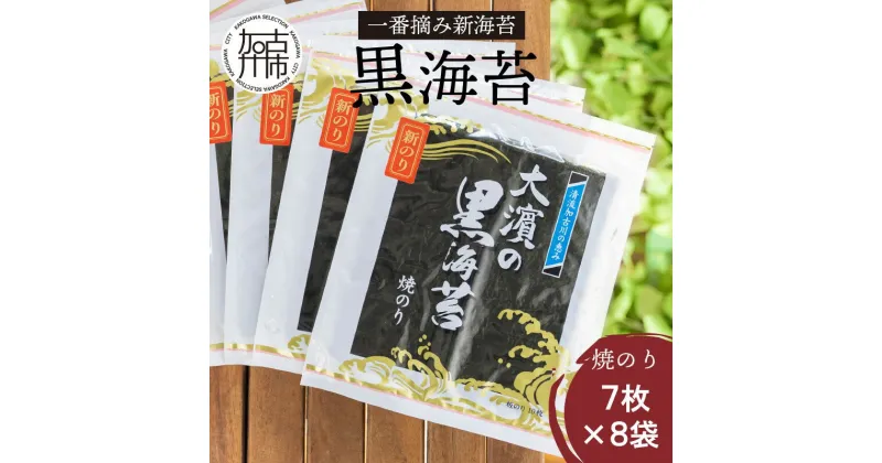 【ふるさと納税】兵庫加古川産 一番摘み【新海苔】焼のり[2025年1月より順次発送]《 のり 海苔 一番摘み 期間限定 》