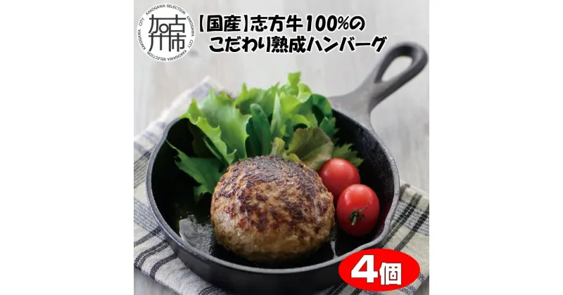 【ふるさと納税】【国産】志方牛100%のこだわり熟成ハンバーグ150g×4個《 ハンバーグ 国産 牛肉 100% 牛 こだわり セット 冷凍 肉 惣菜 お取り寄せ グルメ おかず 4個 ギフト 送料無料 贈答用 ギフト プレゼント 贈り物 》