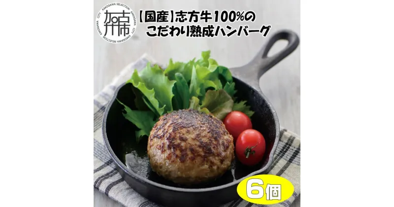 【ふるさと納税】【国産】志方牛100%のこだわり熟成ハンバーグ150g×6個《 ハンバーグ 国産 牛肉 100% 牛 こだわり セット 冷凍 肉 惣菜 お取り寄せ グルメ おかず ギフト 送料無料 》