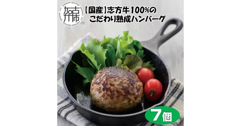 【ふるさと納税】【国産】志方牛100%のこだわり熟成ハンバーグ150g×7個《 ハンバーグ 国産 牛肉 100% 牛 こだわり セット 冷凍 肉 惣菜 お取り寄せ グルメ おかず ギフト 送料無料 》