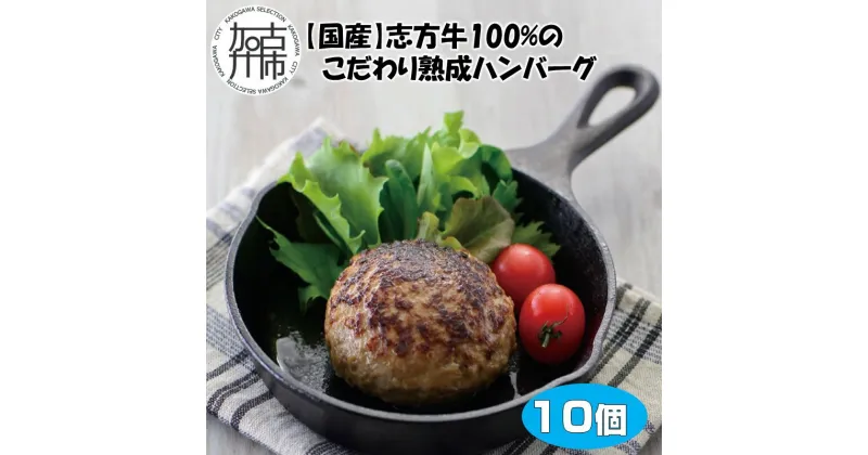 【ふるさと納税】【国産】志方牛100%のこだわり熟成ハンバーグ150g×10個《 ハンバーグ 国産 牛肉 100% 牛 こだわり セット 冷凍 肉 惣菜 お取り寄せ グルメ おかず ギフト 送料無料 》