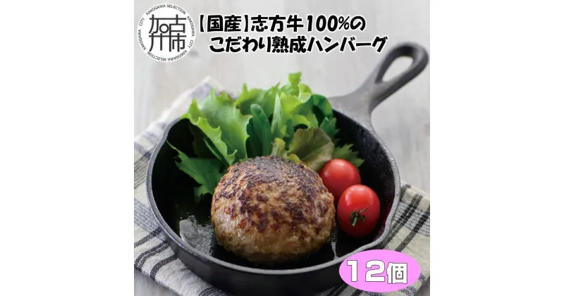 【ふるさと納税】【国産】志方牛100%のこだわり熟成ハンバーグ150g×12個《 ハンバーグ 国産 牛肉 100% 牛 こだわり セット 冷凍 肉 惣菜 お取り寄せ グルメ おかず ギフト 送料無料 》