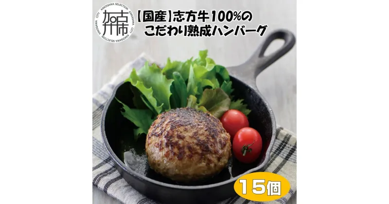 【ふるさと納税】【国産】志方牛100%のこだわり熟成ハンバーグ150g×15個《 ハンバーグ 国産 牛肉 100% 牛 こだわり セット 冷凍 肉 惣菜 お取り寄せ グルメ おかず ギフト 送料無料 》