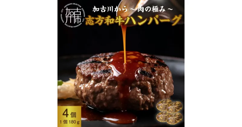 【ふるさと納税】加古川～肉の極み～志方和牛ハンバーグ 《 志方和牛 和牛 和牛ハンバーグ ハンバーグ 総菜 おかず 調理済 真空パック 肉 肉汁 ビーフ 牛肉 送料無料 食品 》