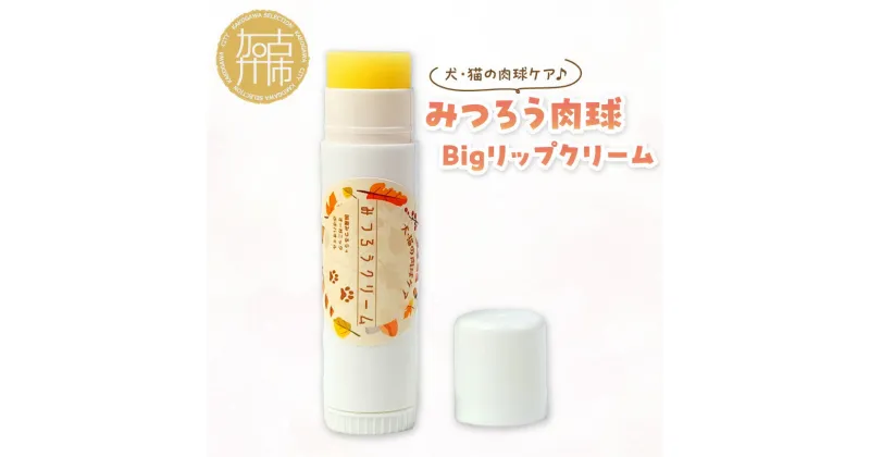 【ふるさと納税】みつろう肉球クリーム Bigリップクリーム 《 ペットグッズ 犬 ケア みつろう リップクリーム クリーム ホホバオイル 》