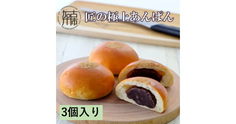 【ふるさと納税】匠の極上あんぱん(3個入り)《 あんパン パン 粒あん 冷凍 個包装 小分け 》