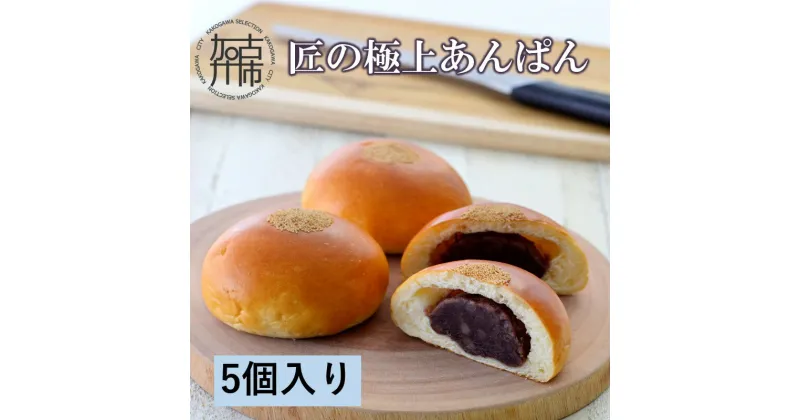 【ふるさと納税】匠の極上あんぱん(5個入り)《 あんパン パン 粒あん 冷凍 個包装 小分け 》