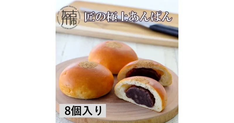 【ふるさと納税】匠の極上あんぱん(8個入り)《 あんパン パン 粒あん 冷凍 個包装 小分け 》