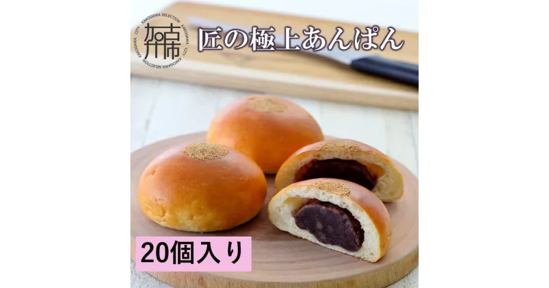 【ふるさと納税】匠の極上あんぱん(20個入り)《 あんパン パン 粒あん 冷凍 個包装 小分け 》