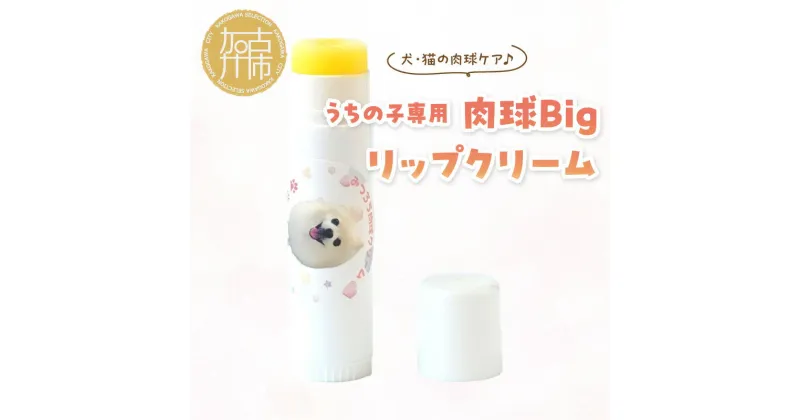 【ふるさと納税】うちの子専用肉球 Bigリップクリーム 《 ペットグッズ 愛犬 ケア 国産みつろう100% オーガニック スティックタイプ 大容量 オーガニック ホホバオイル 》