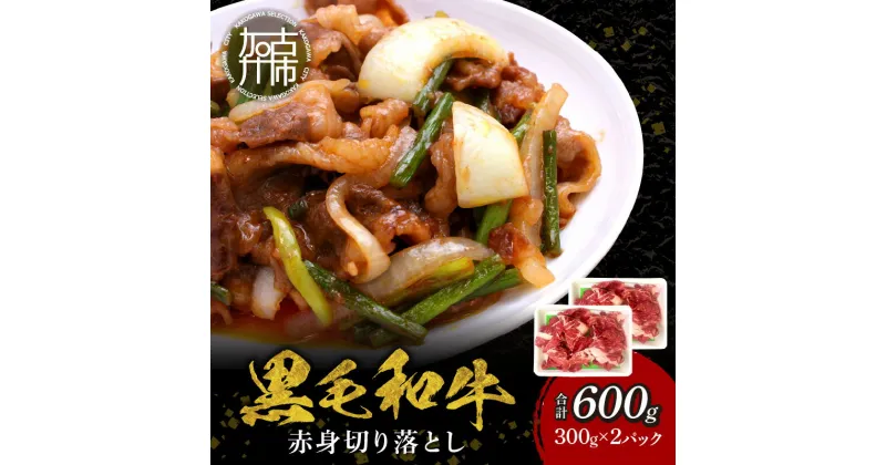 【ふるさと納税】【肉のまち かこがわ】黒毛和牛 赤身切り落とし スライス300g×2 《 黒毛和牛 和牛 牛肉 赤身 お肉 切り落とし スライス 牛肉 肉 国産牛 》