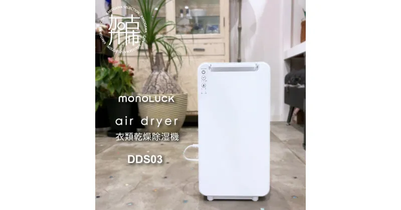 【ふるさと納税】衣類乾燥除湿機 air dryer DDS03《 衣類乾燥機 除湿機 家電 衣類 消臭 防カビ 除菌 軽量 コンパクト 部屋干し 室内干し ふるさと納税 送料無料 梅雨対策 台風 》