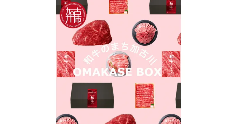 【ふるさと納税】OMAKASE BOX 肉のまち加古川 プリンセス和牛定期便(全4回)《 肉 定期便 牛肉 ステーキ しゃぶしゃぶ すき焼き用 焼肉 おすすめ 贈答 プレゼント 》